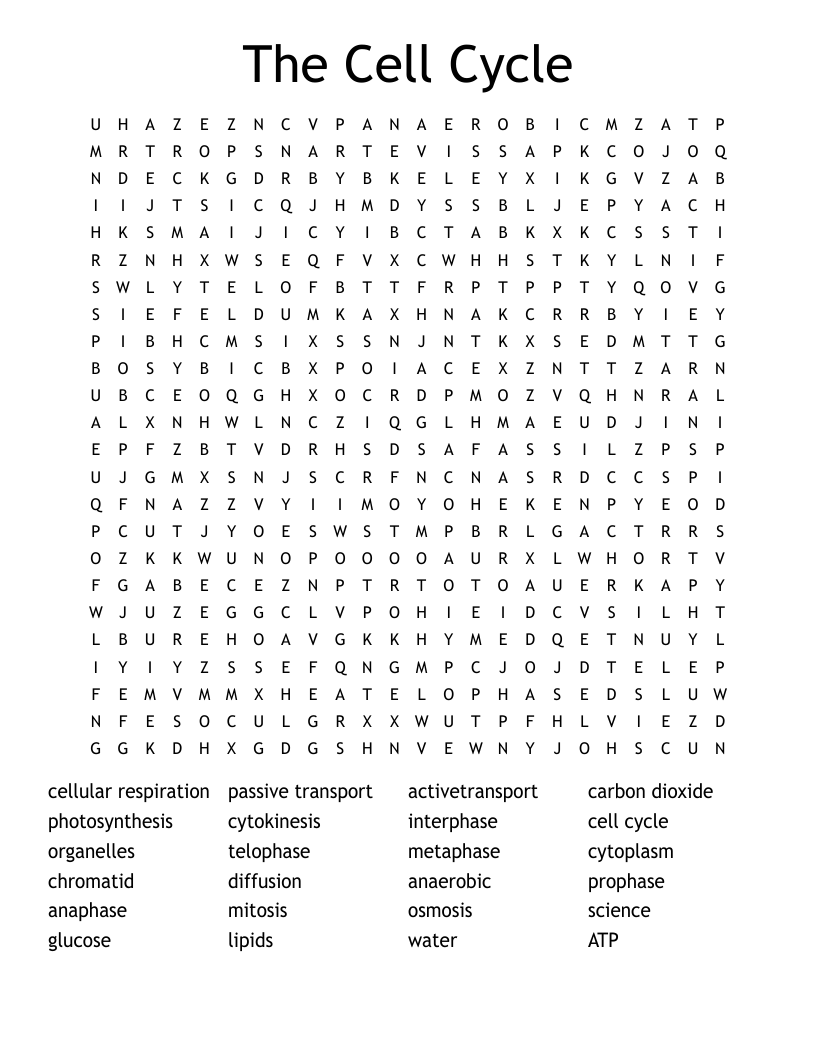 The Cell Cycle Word Search