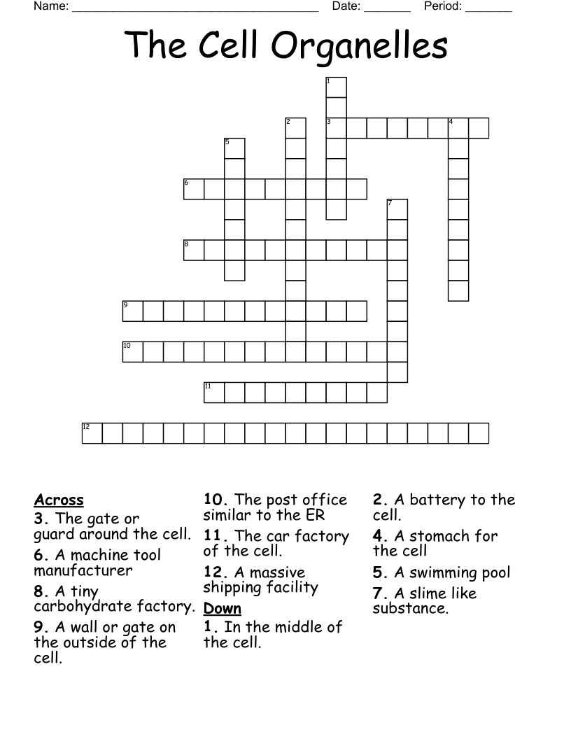 The Cell Organelles Crossword