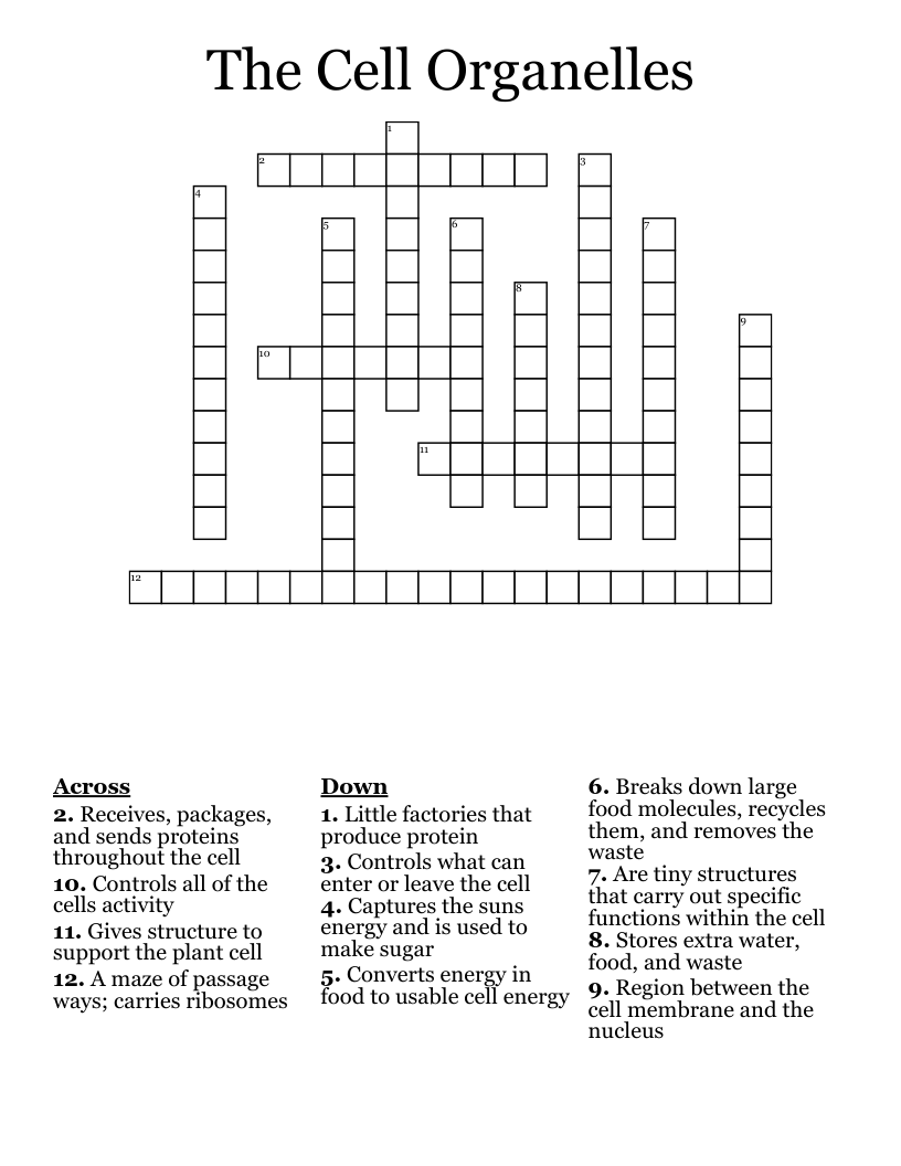 The Cell Organelles Crossword