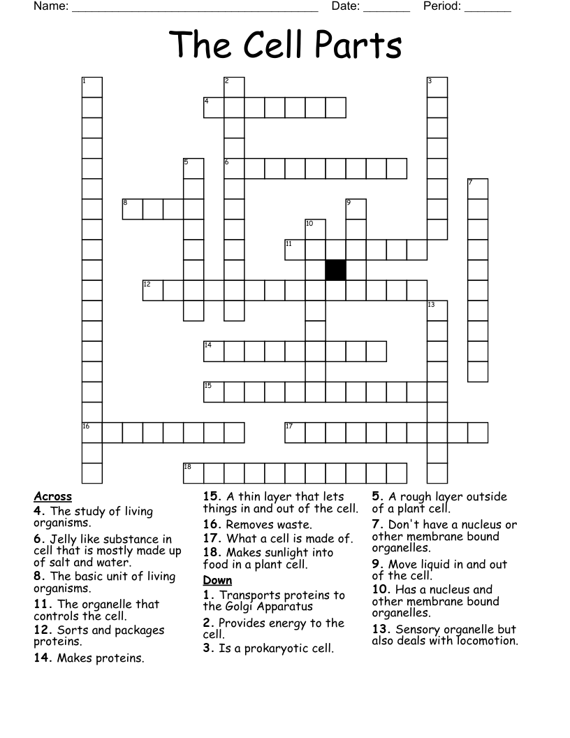 The Cell Parts Crossword