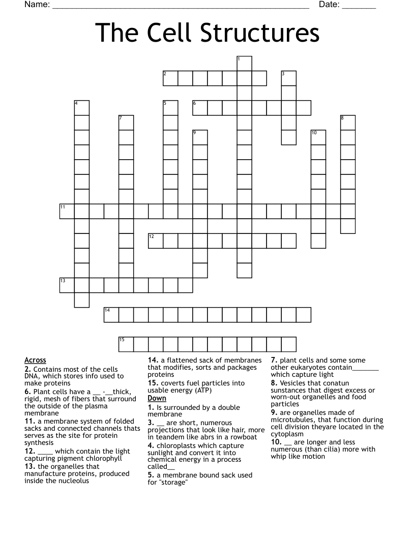 The Cell Structures Crossword