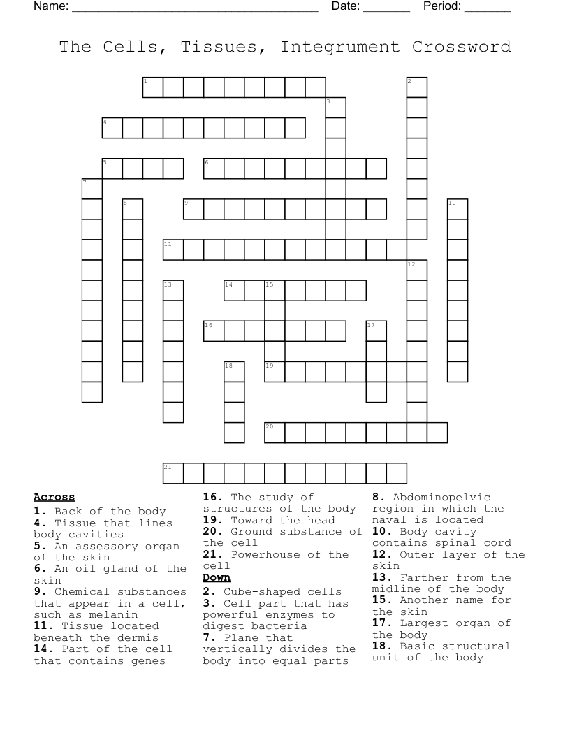 The Cells, Tissues, Integrument Crossword