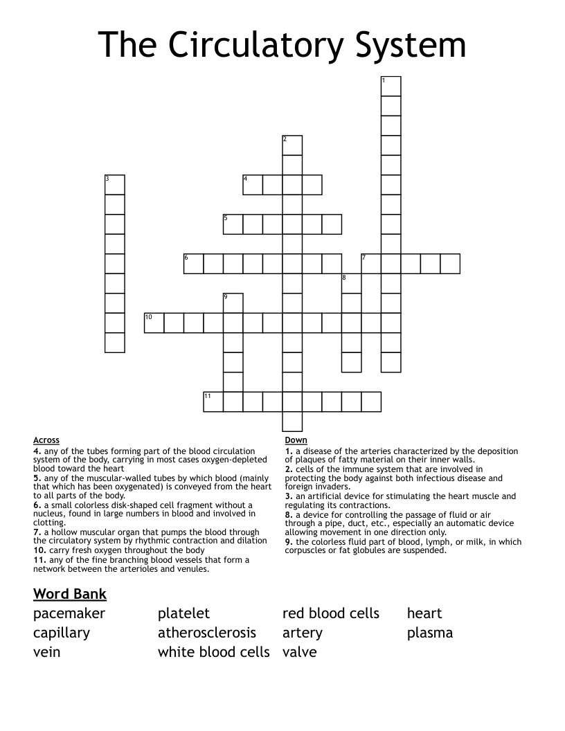 The Circulatory System Crossword
