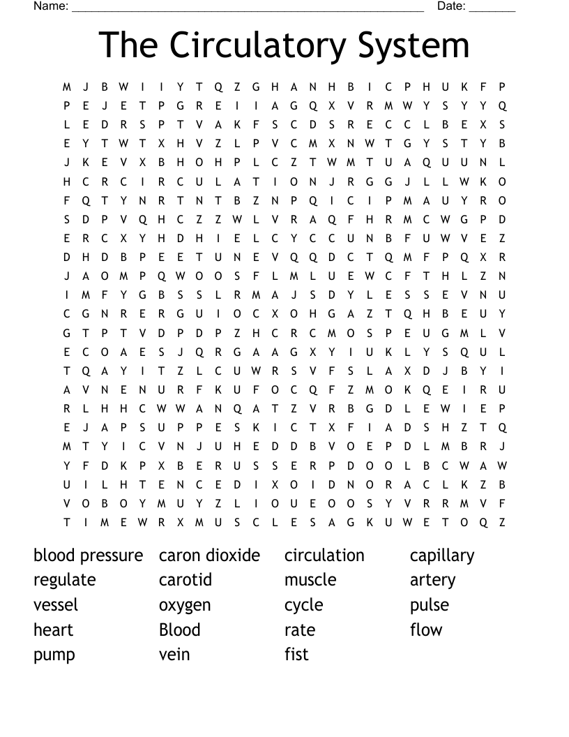 The Circulatory System Word Search