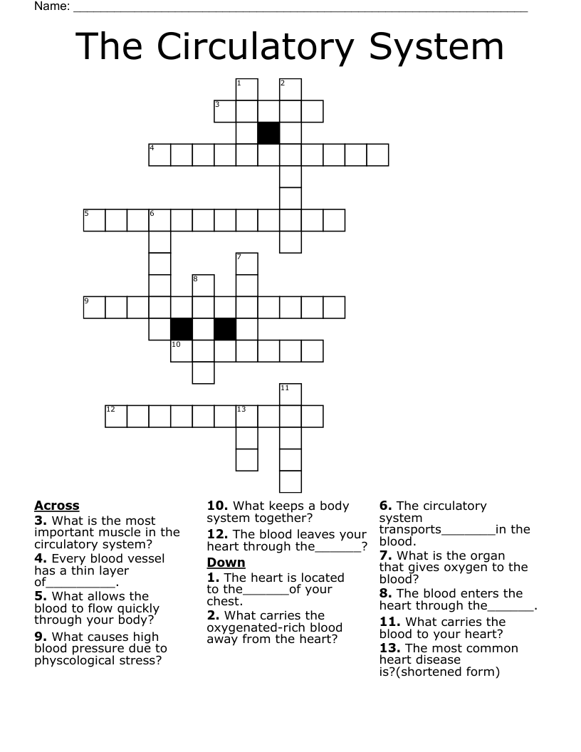 The Circulatory System Crossword