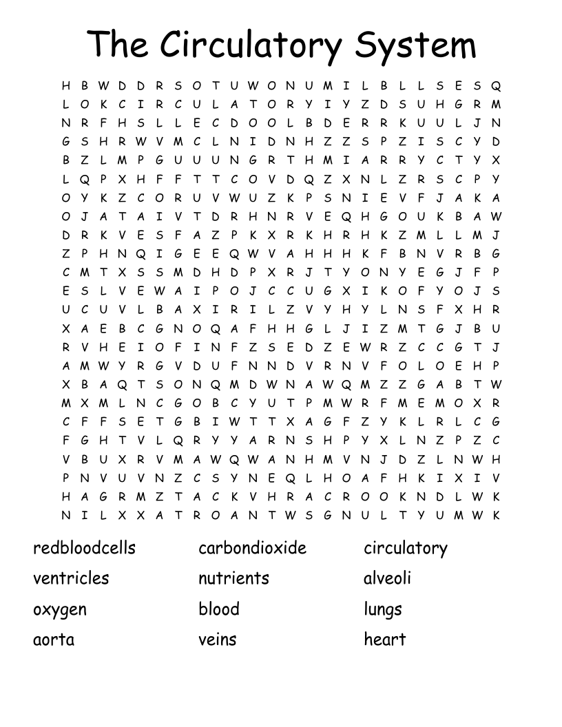 The Circulatory System Word Search