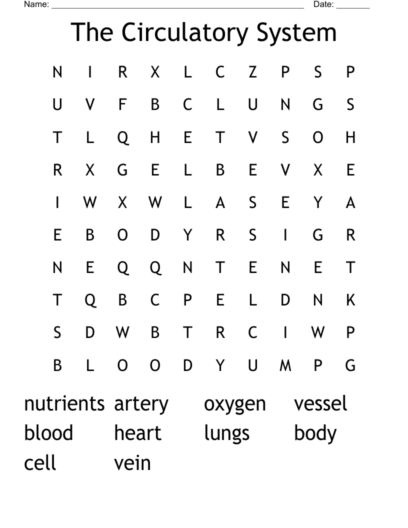 The Circulatory System Word Search