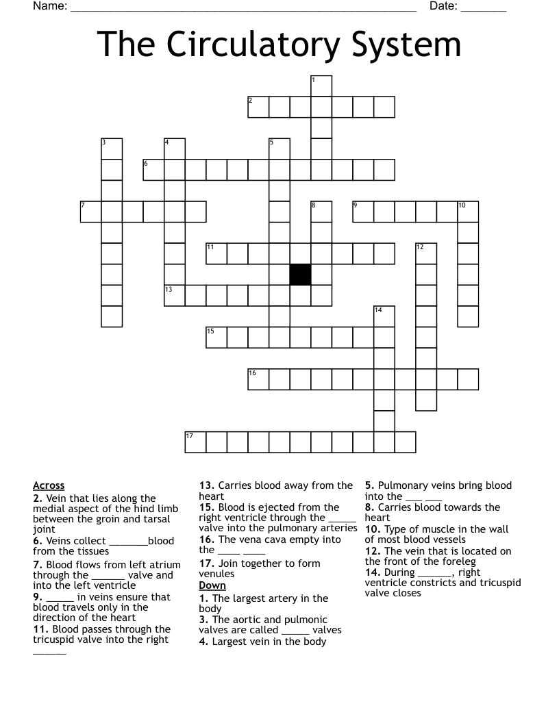 The Circulatory System Crossword