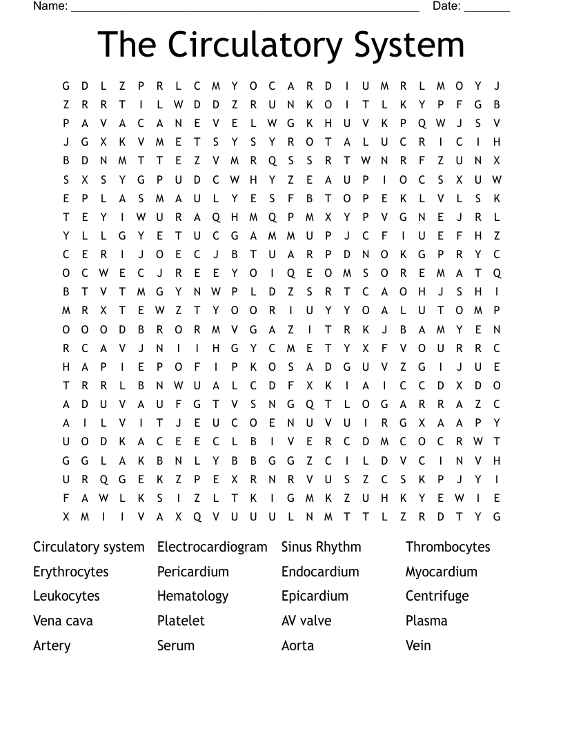 The Circulatory System Word Search