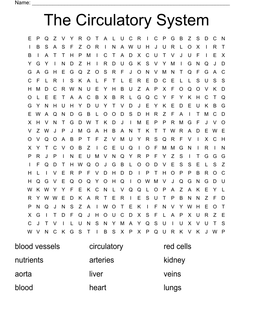 The Circulatory System Word Search
