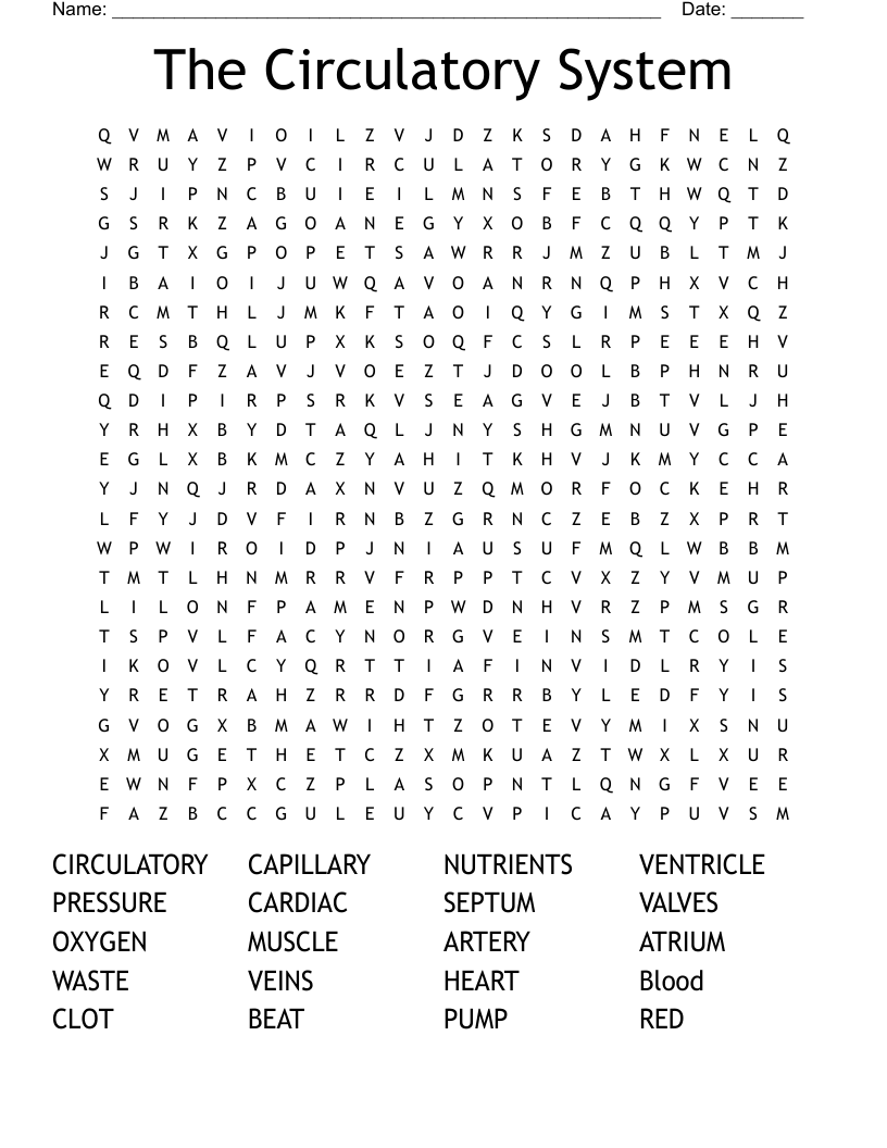 The Circulatory System Word Search