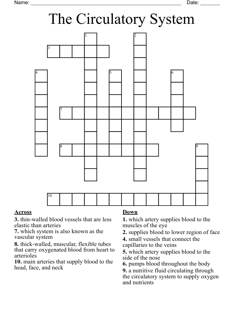 The Circulatory System Crossword