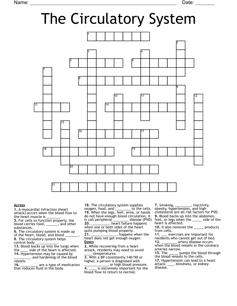 The Circulatory System Crossword