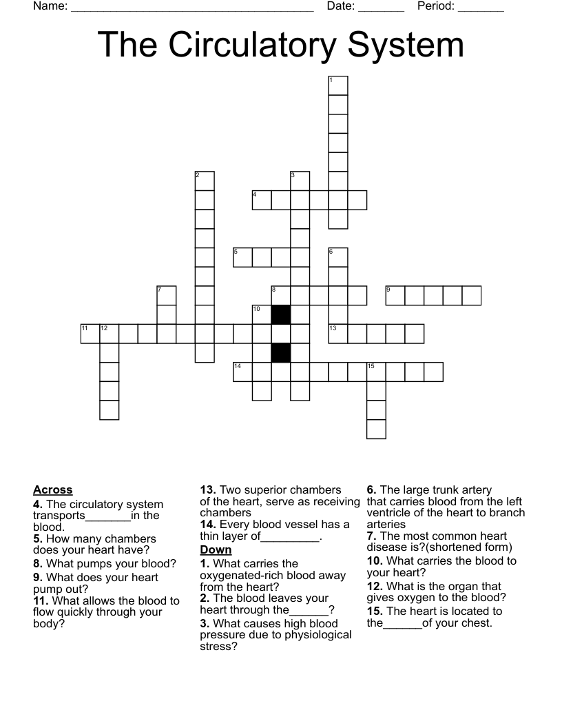 The Circulatory System Crossword
