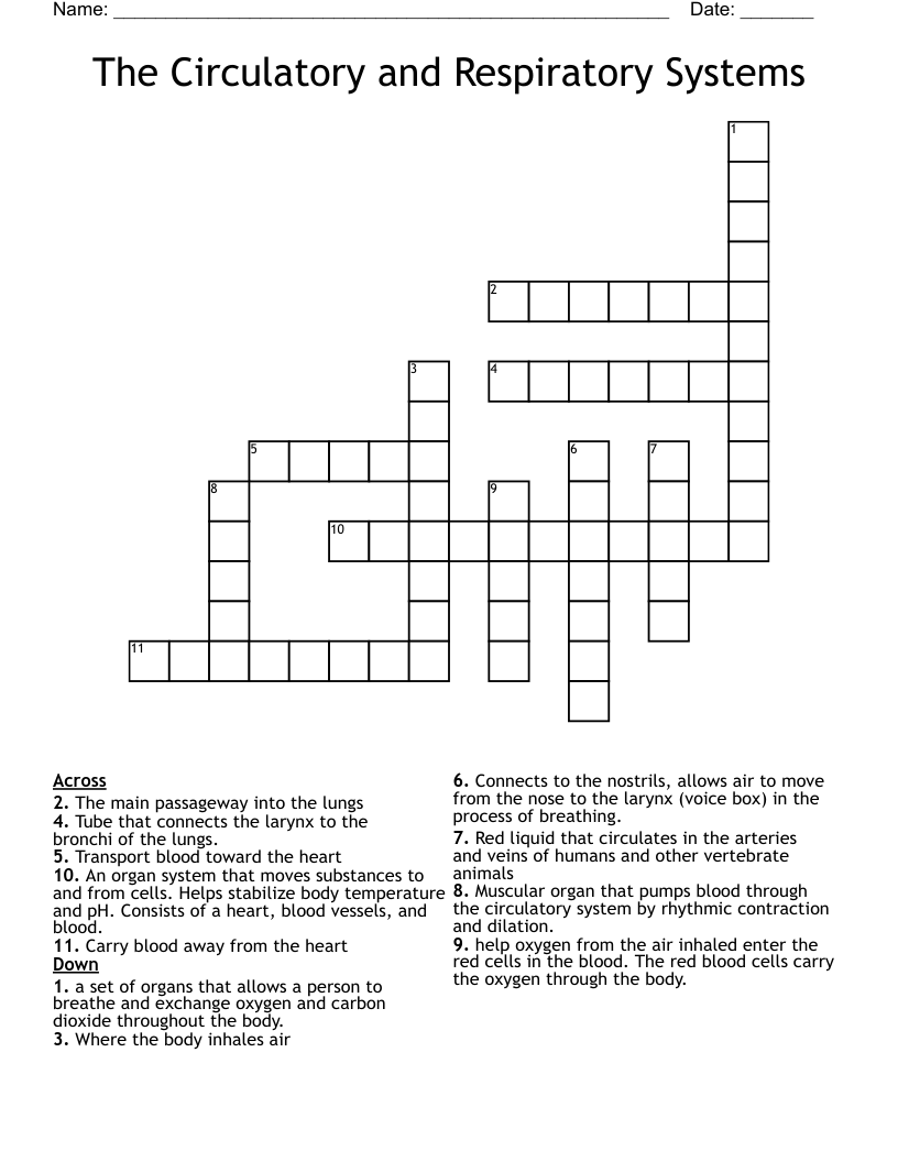 The Circulatory and Respiratory Systems Crossword