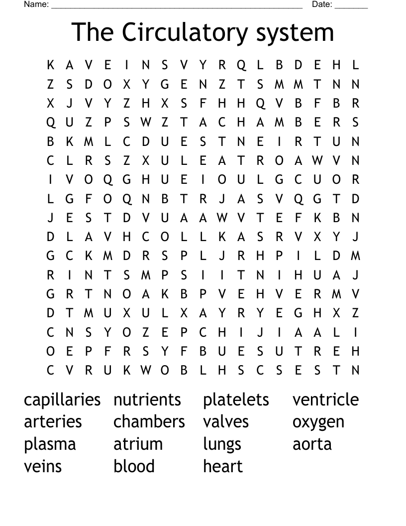 The Circulatory system Word Search