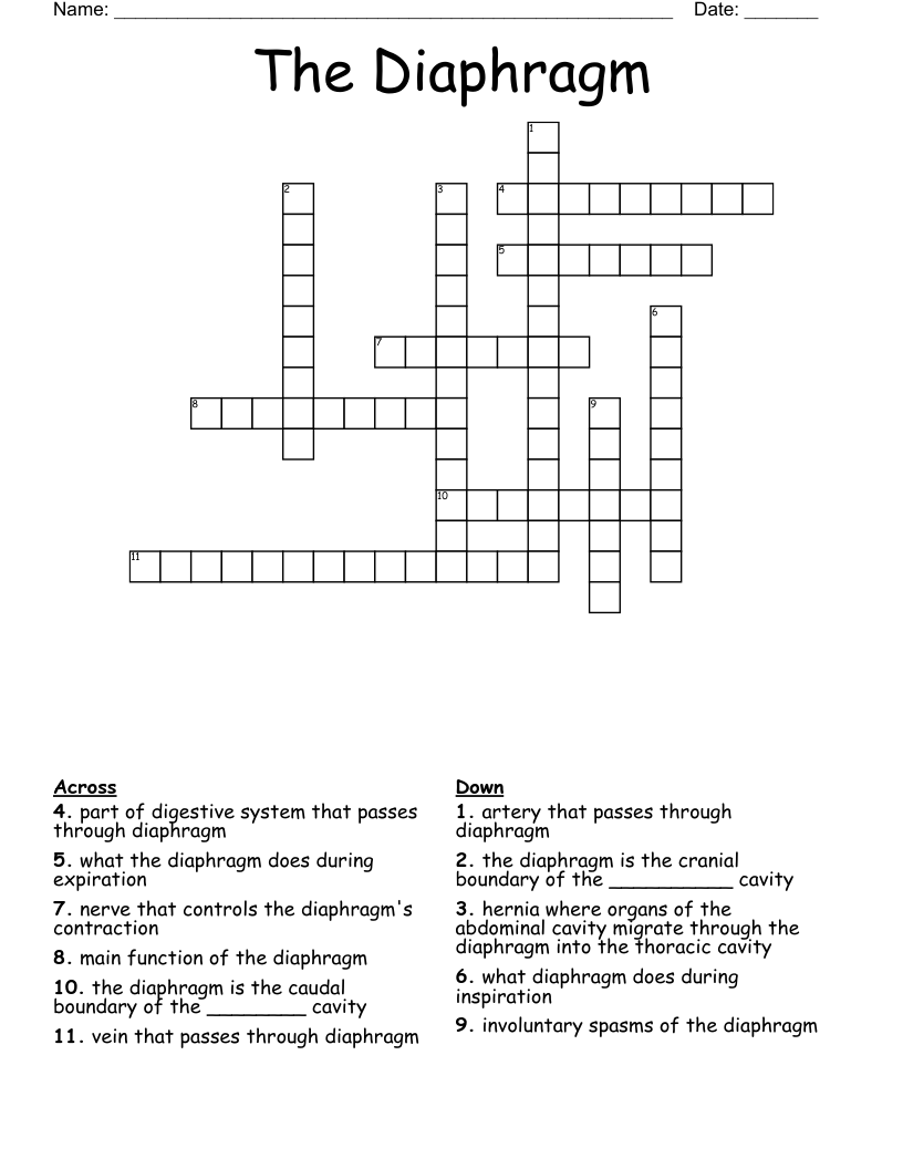 The Diaphragm Crossword