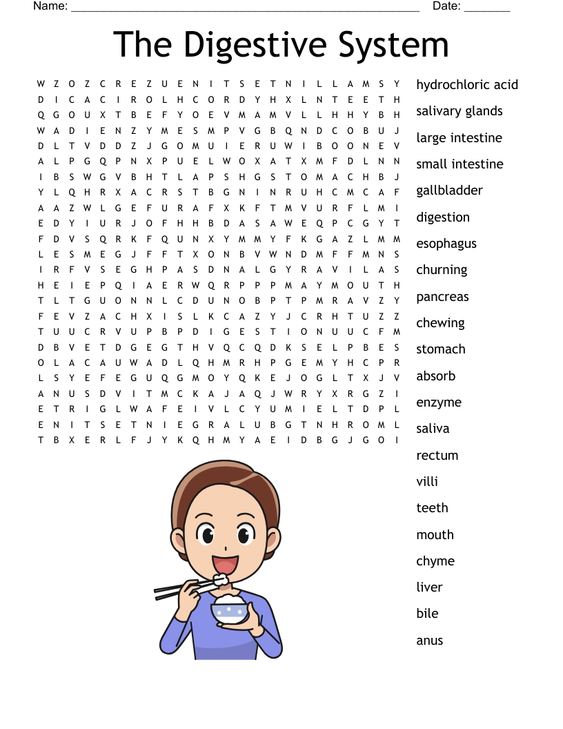 The Digestive System Word Search