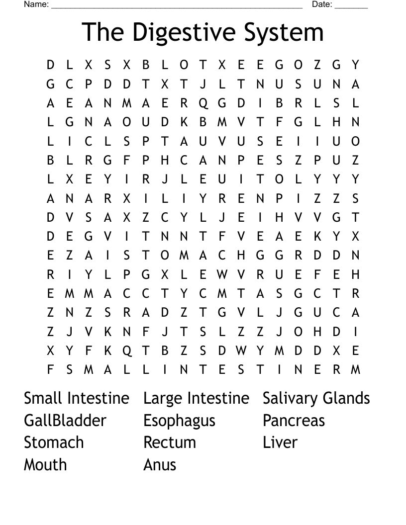 The Digestive System Word Search