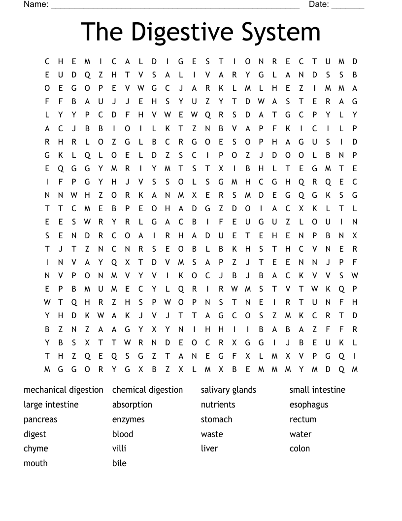 The Digestive System Word Search