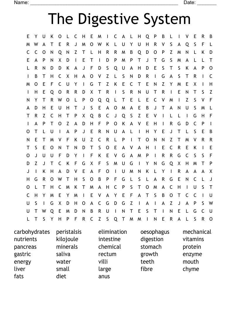 The Digestive System Word Search