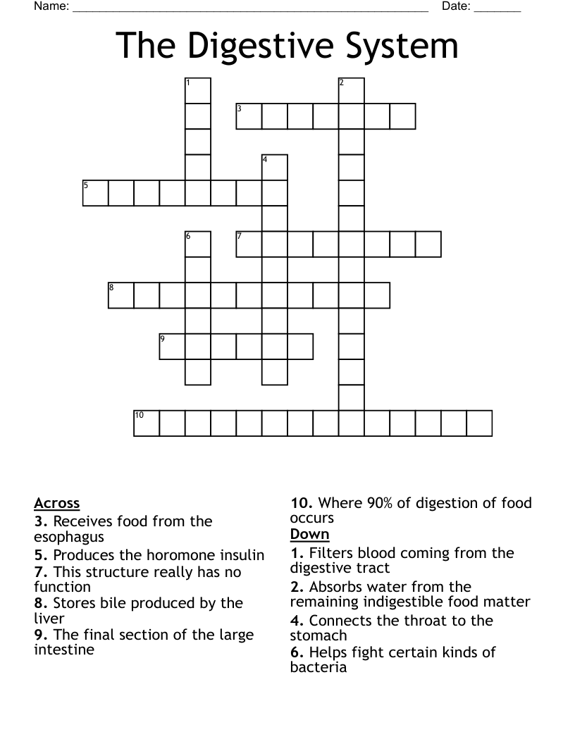 The Digestive System Crossword