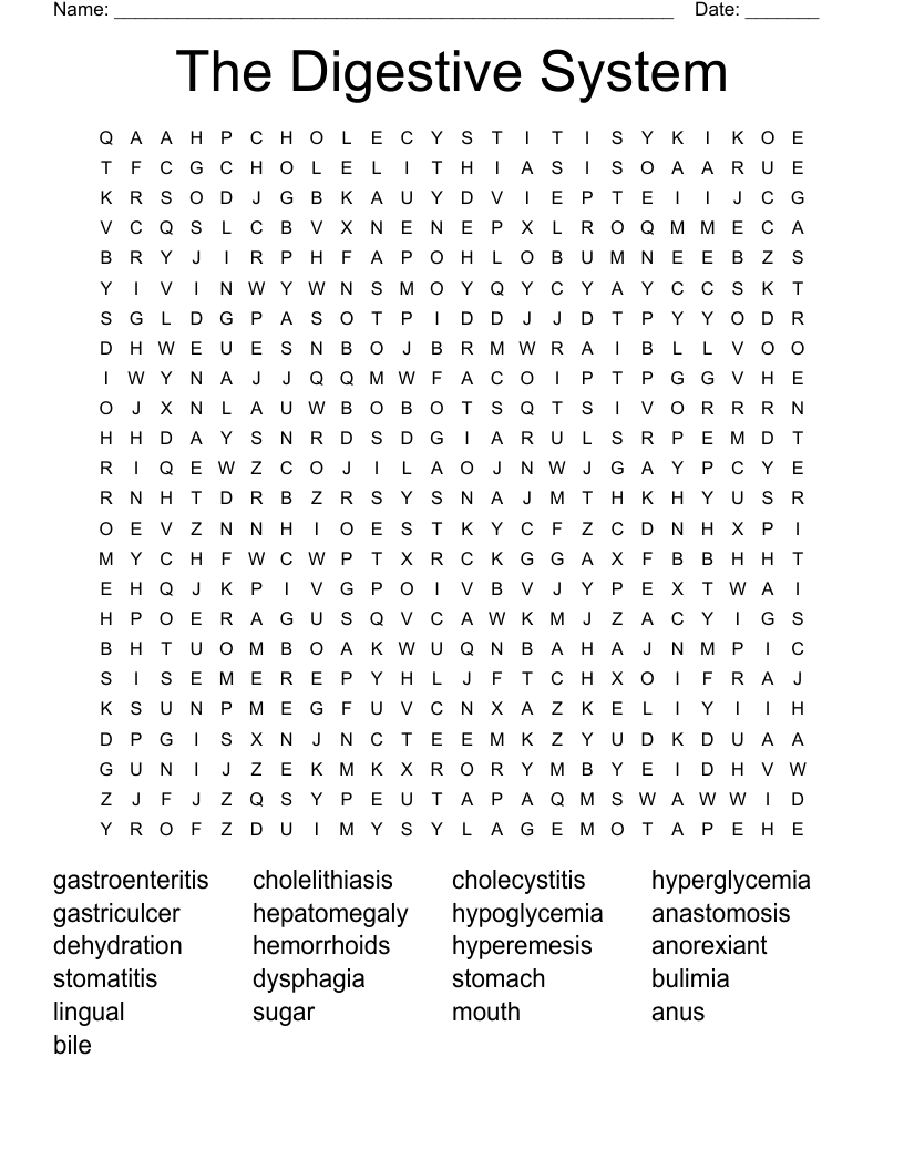 The Digestive System Word Search