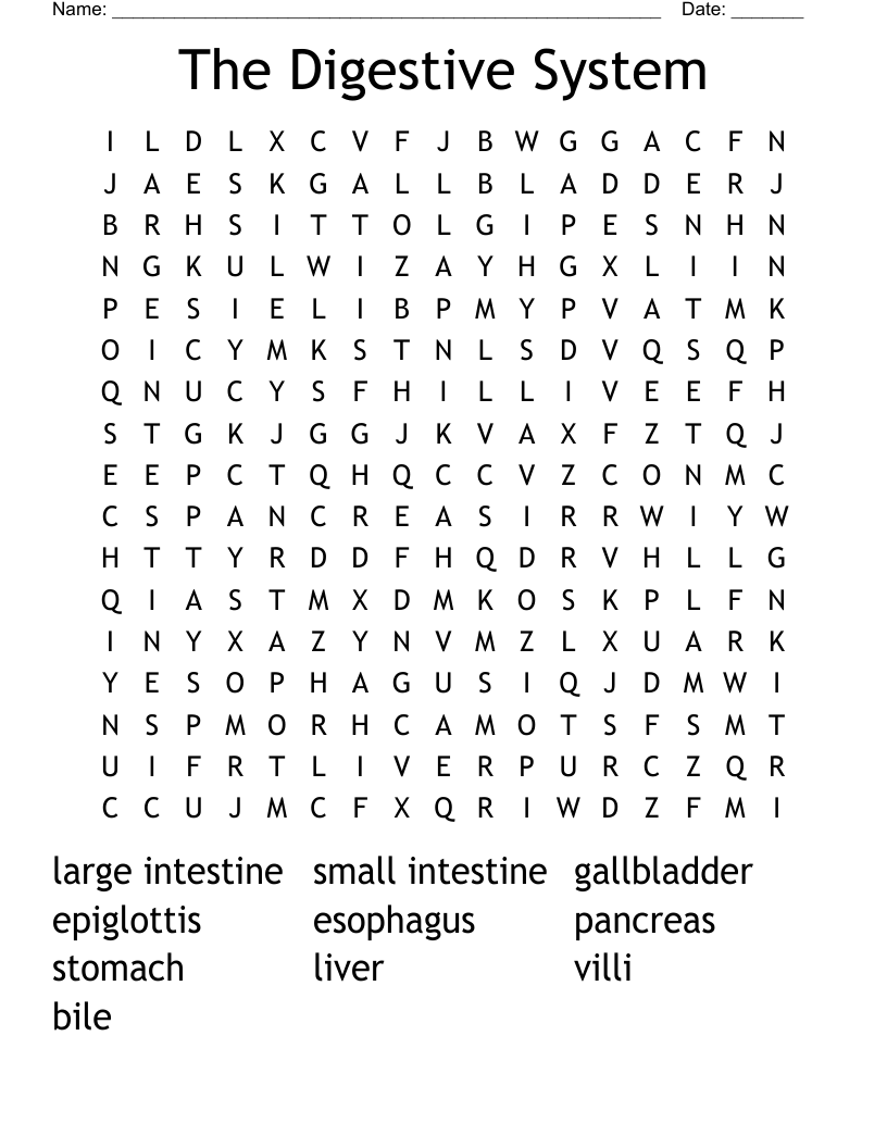 The Digestive System Word Search