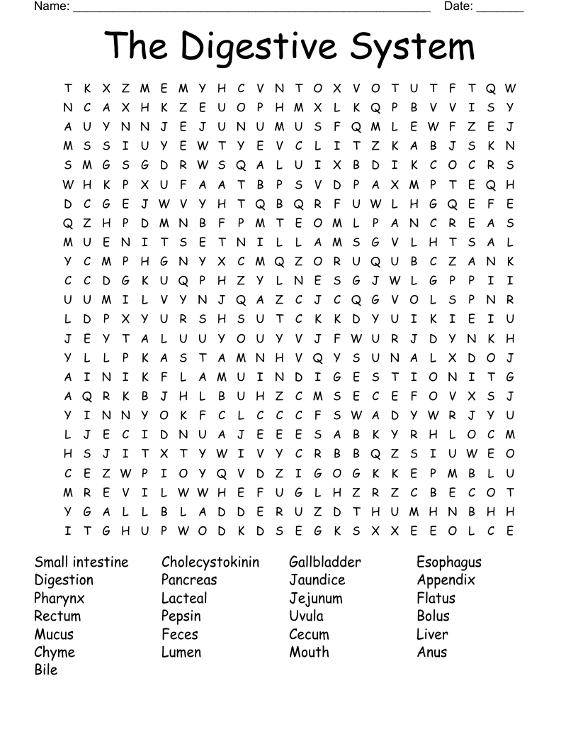 The Digestive System Word Search