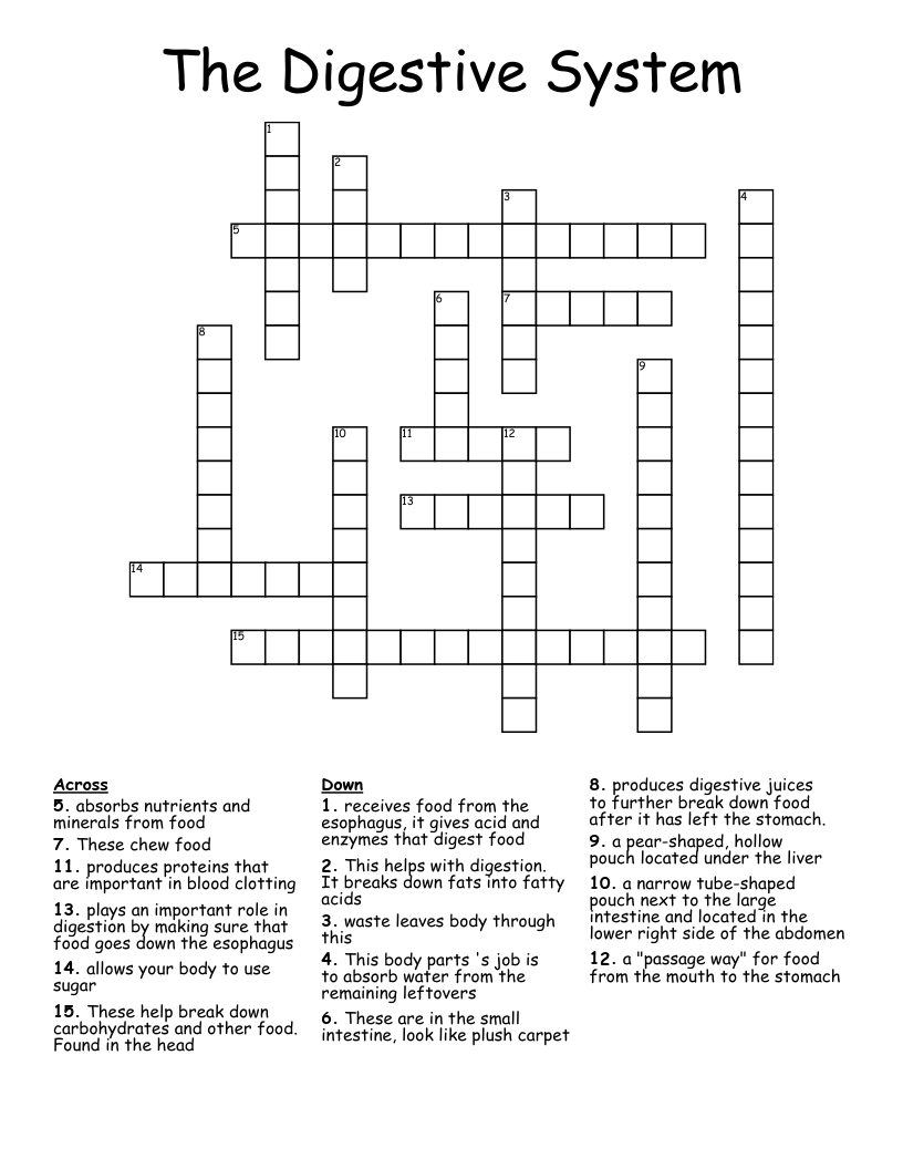 The Digestive System Crossword