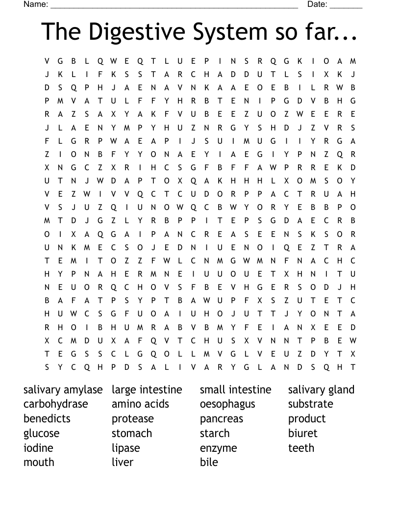 The Digestive System so far... Word Search