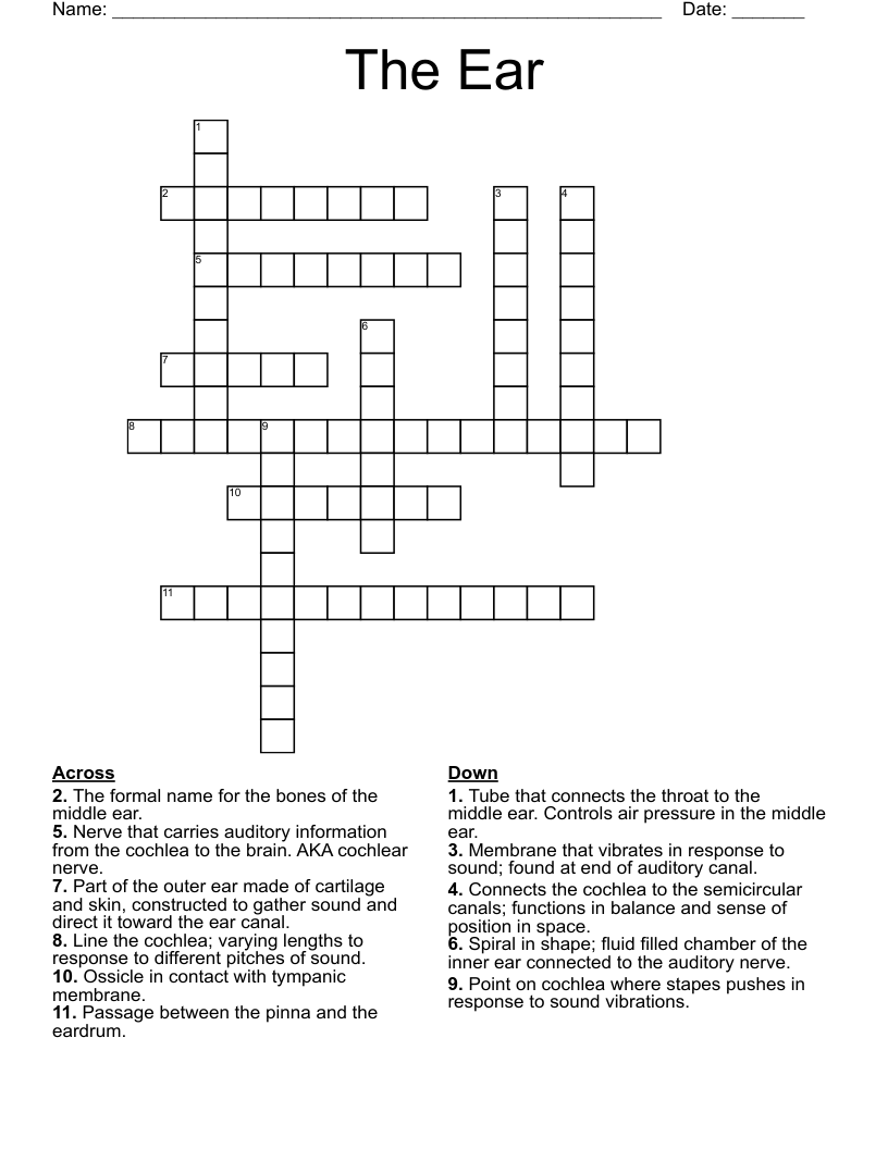 The Ear Crossword
