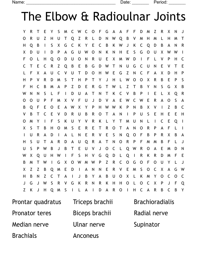 The Elbow & Radioulnar Joints Word Search