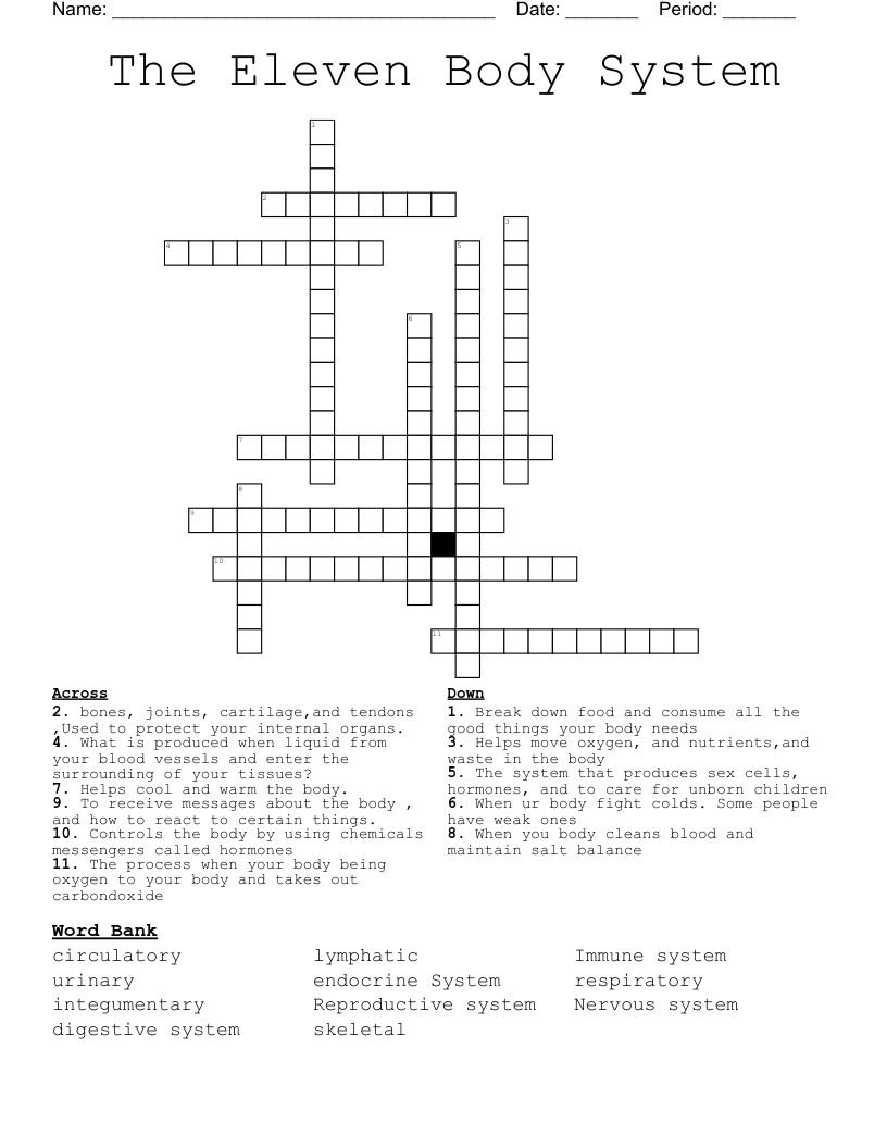 The Eleven Body System  Crossword