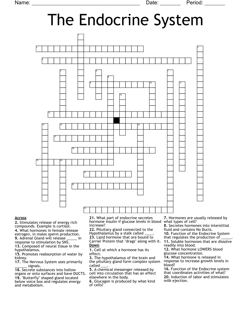 The Endocrine System Crossword