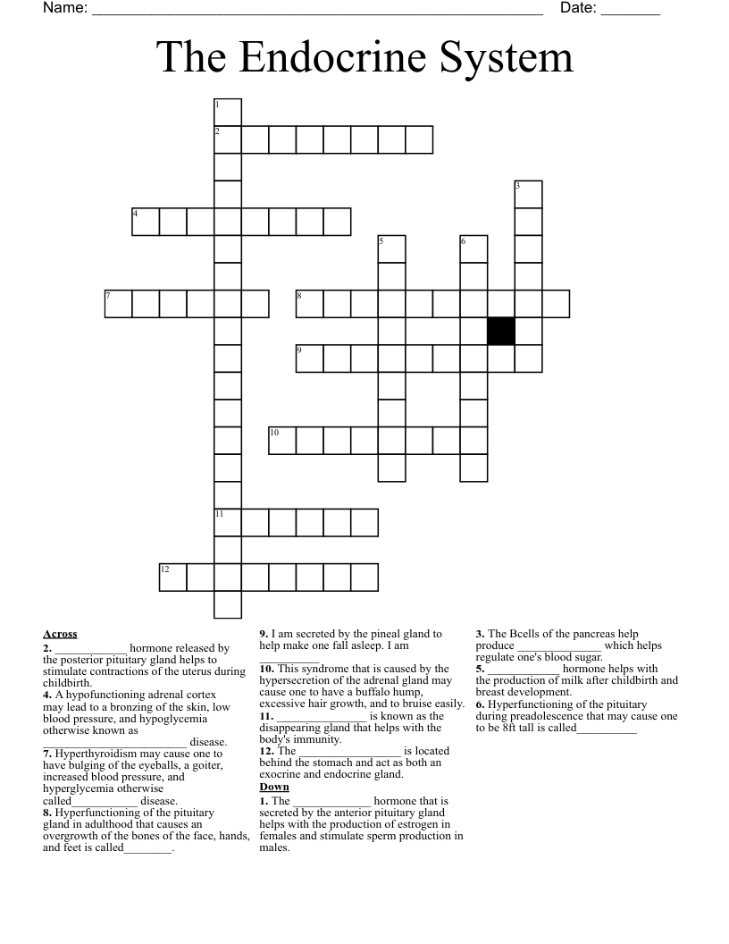 The Endocrine System Crossword