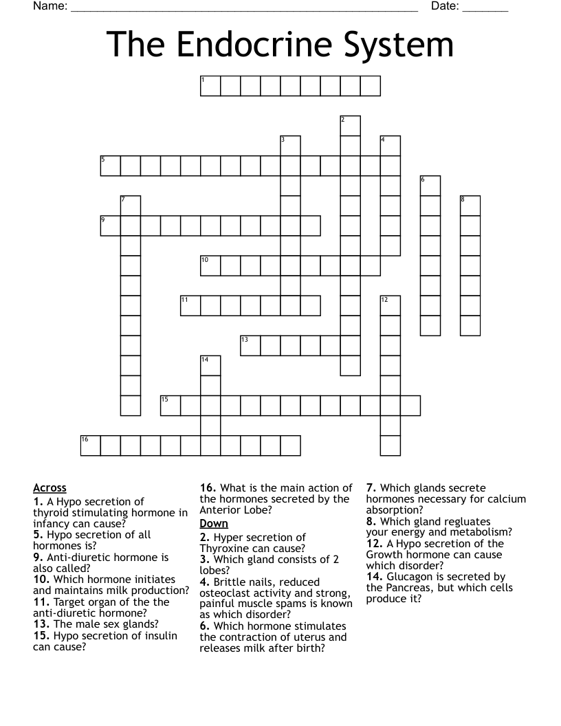 The Endocrine System Crossword