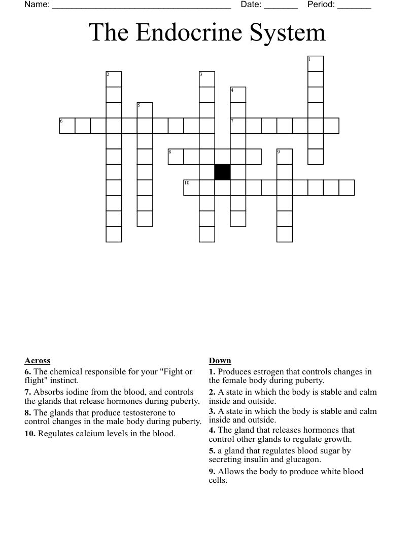 The Endocrine System Crossword