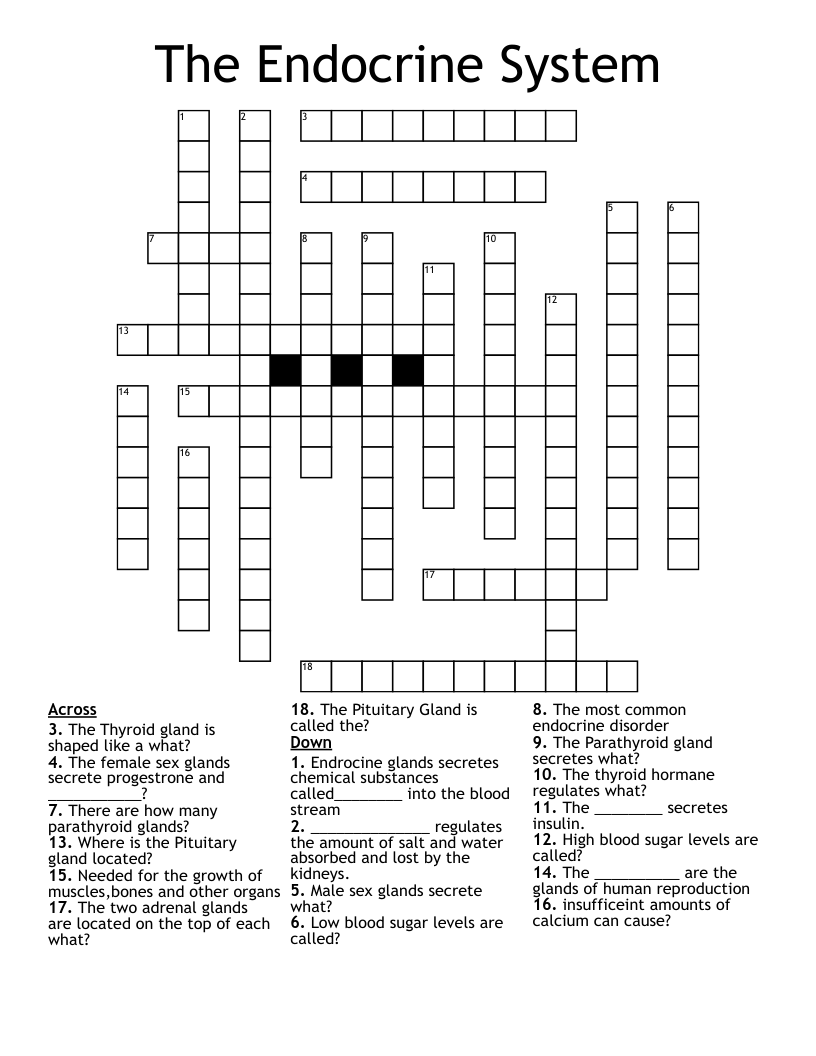 The Endocrine System Crossword