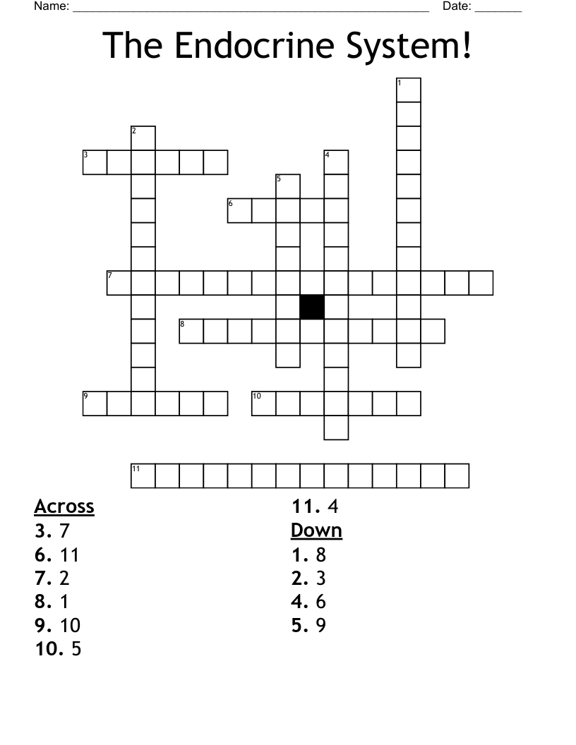 The Endocrine System! Crossword
