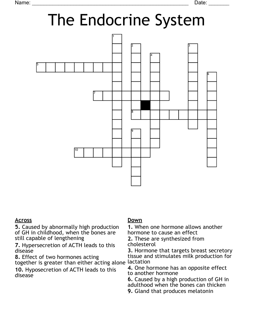 The Endocrine System Crossword
