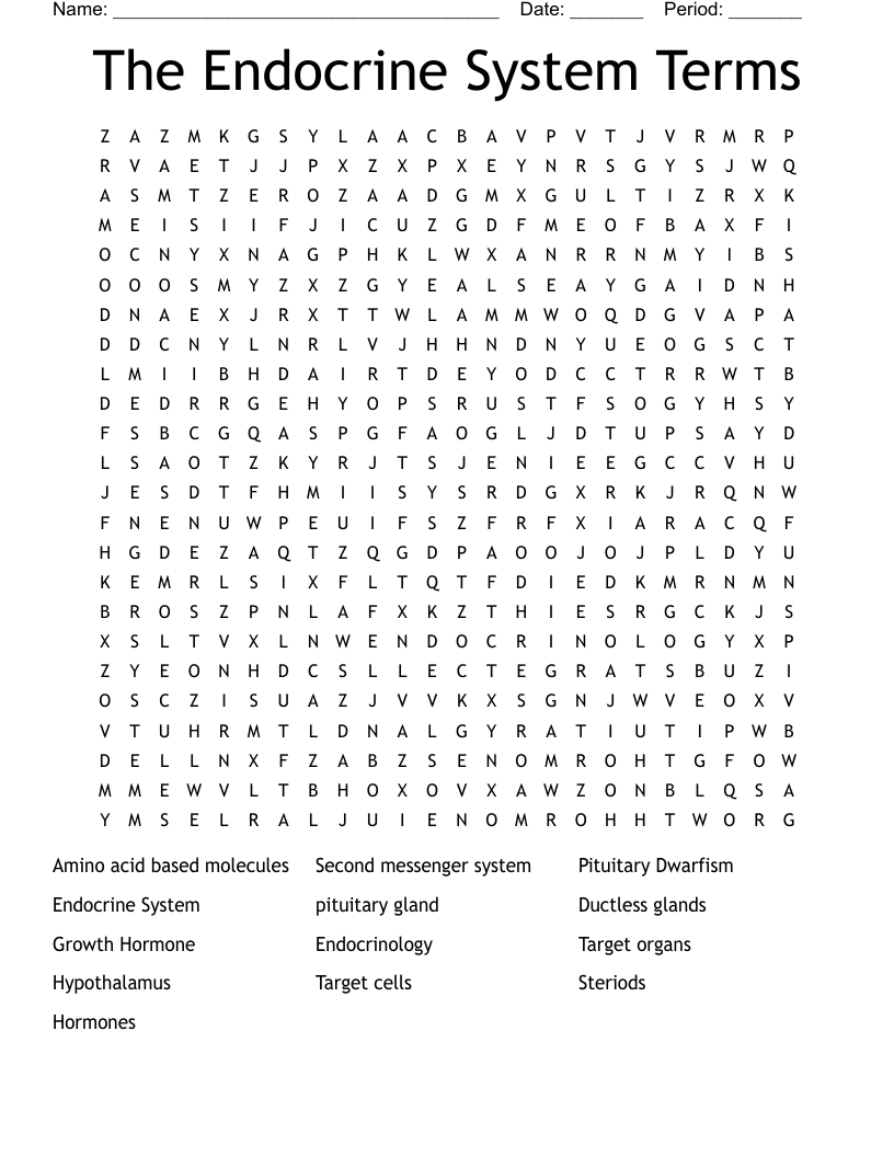 The Endocrine System Terms Word Search