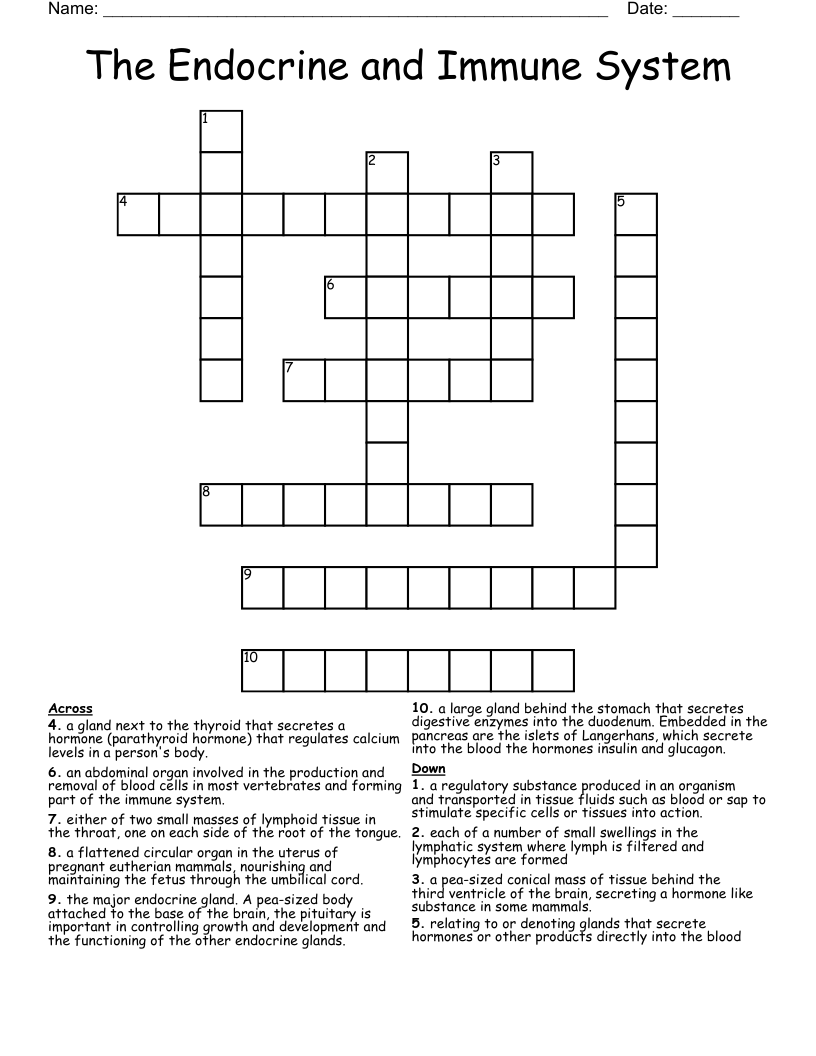 The Endocrine and Immune System Crossword