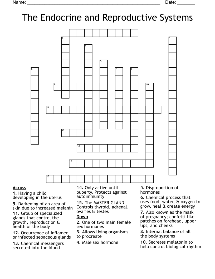 The Endocrine and Reproductive Systems Crossword