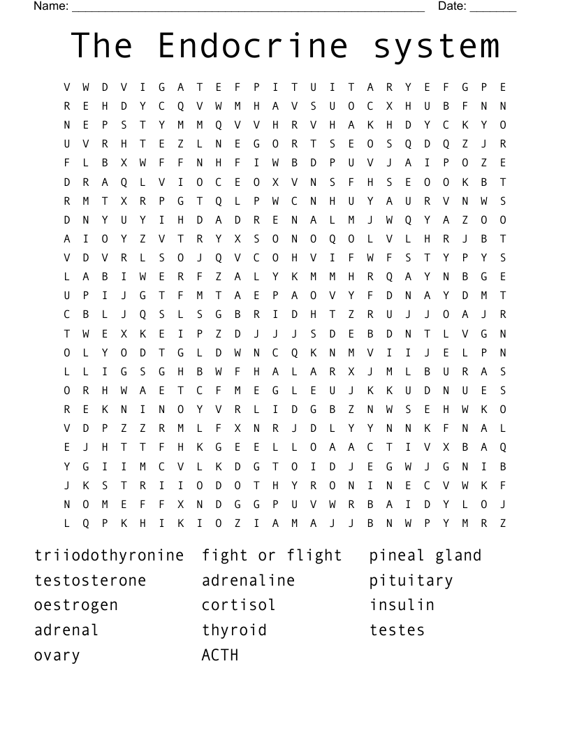 The Endocrine system Word Search