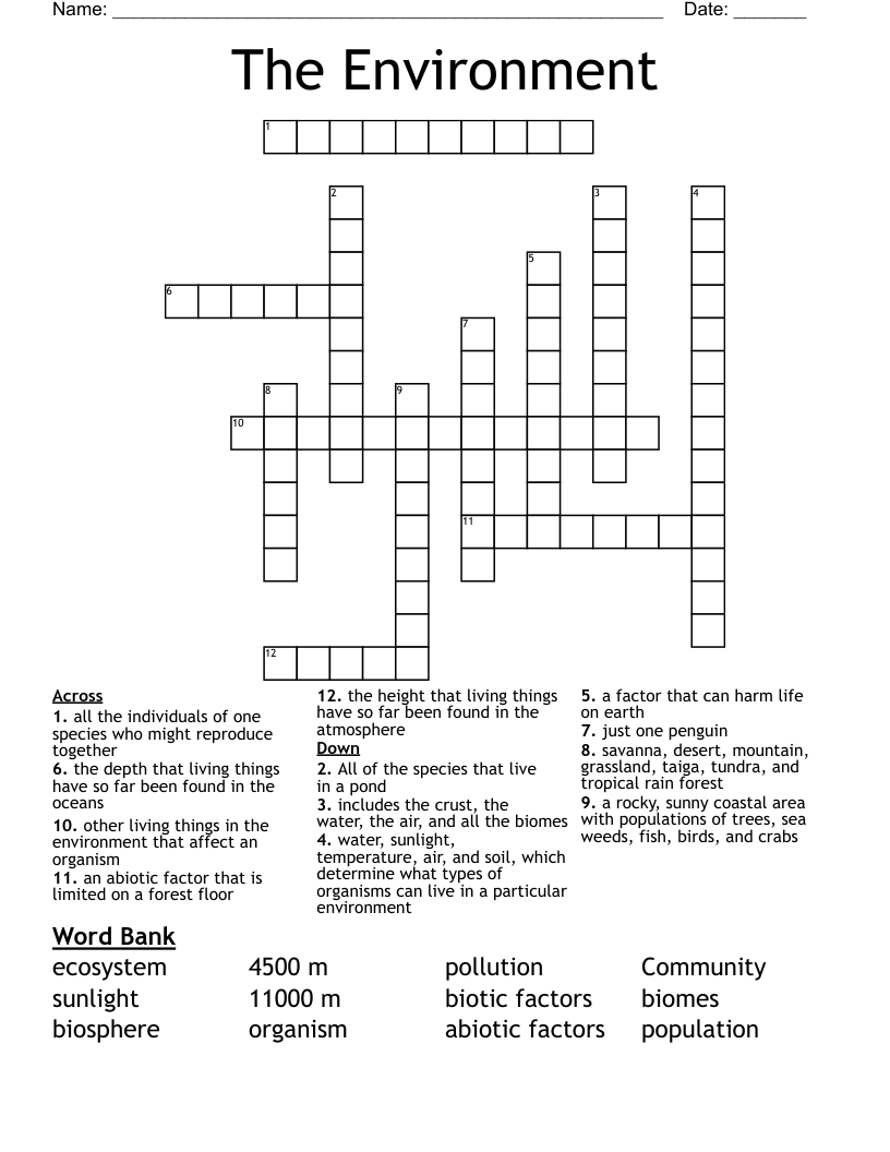The Environment Crossword