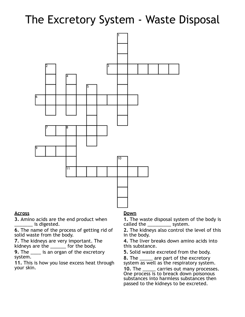 The Excretory System - Waste Disposal Crossword