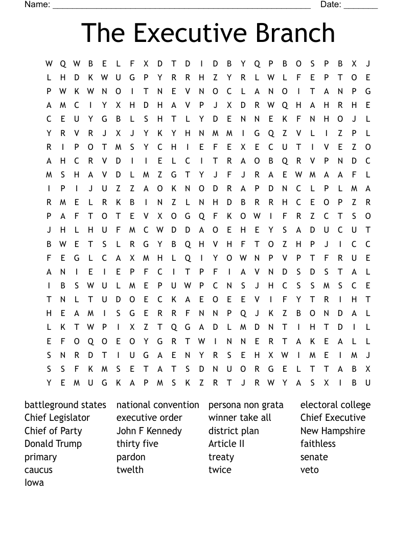 The Executive Branch Word Search