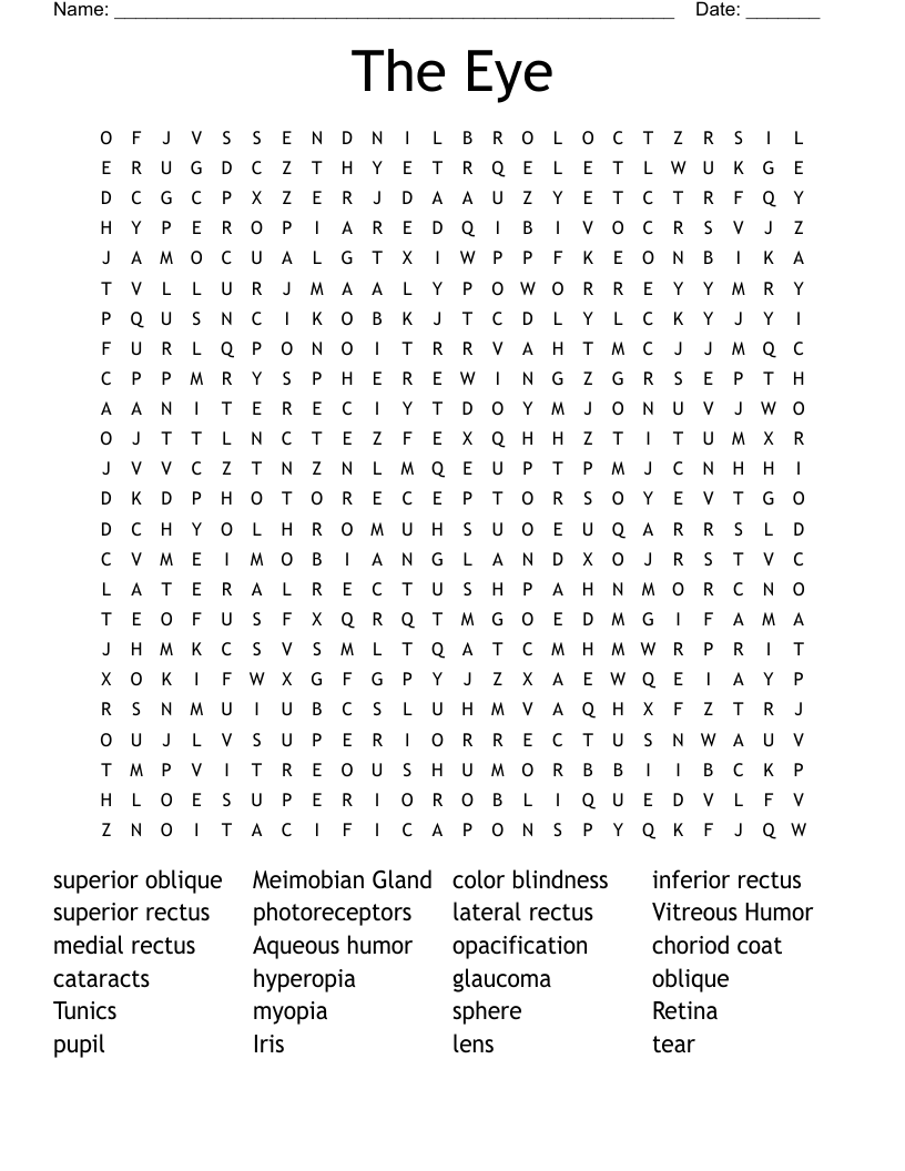 The Eye Word Search