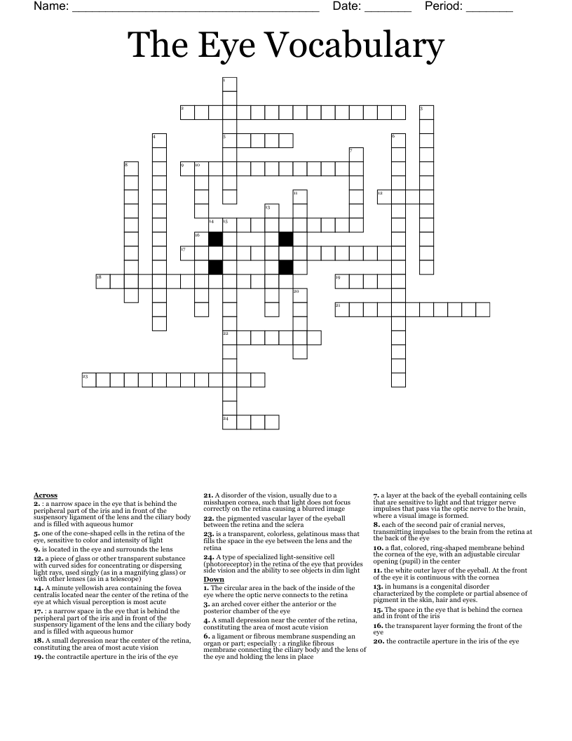 The Eye Vocabulary  Crossword